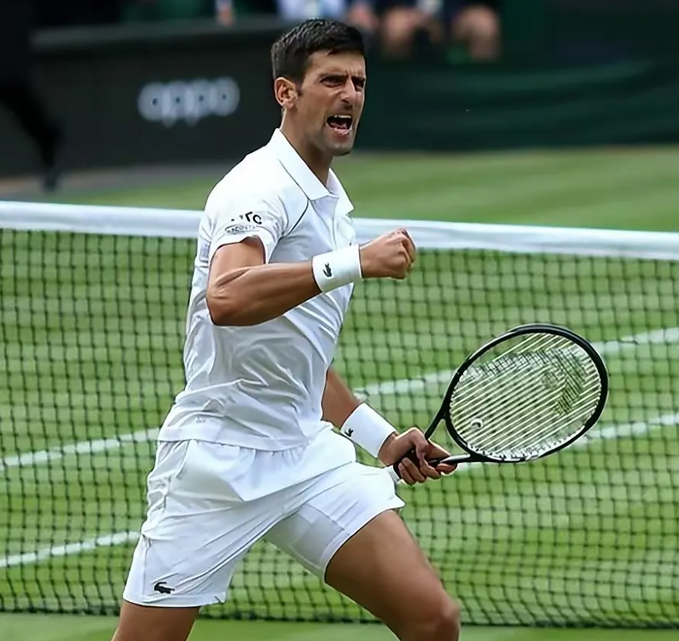 -德国网球队翻盘世界网球队，德约科维奇完成帽子戏法的简单介绍