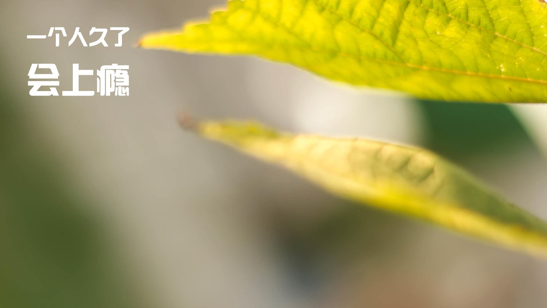 pg电子下载-德式重炮轰开蓝鹰防线，德里赫特的关键先生密码