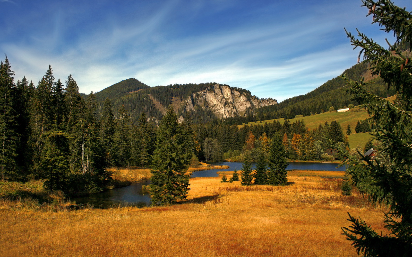 贝林厄姆闪耀全场,巴拉圭与牙买加之战的技术解析与未来启示