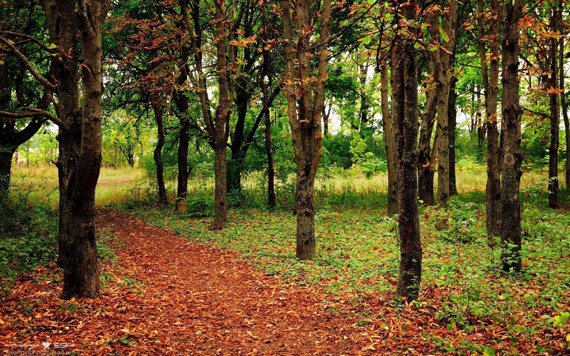 莫兰特狂飙统治全场,上海队速胜独行侠展国际篮球风采