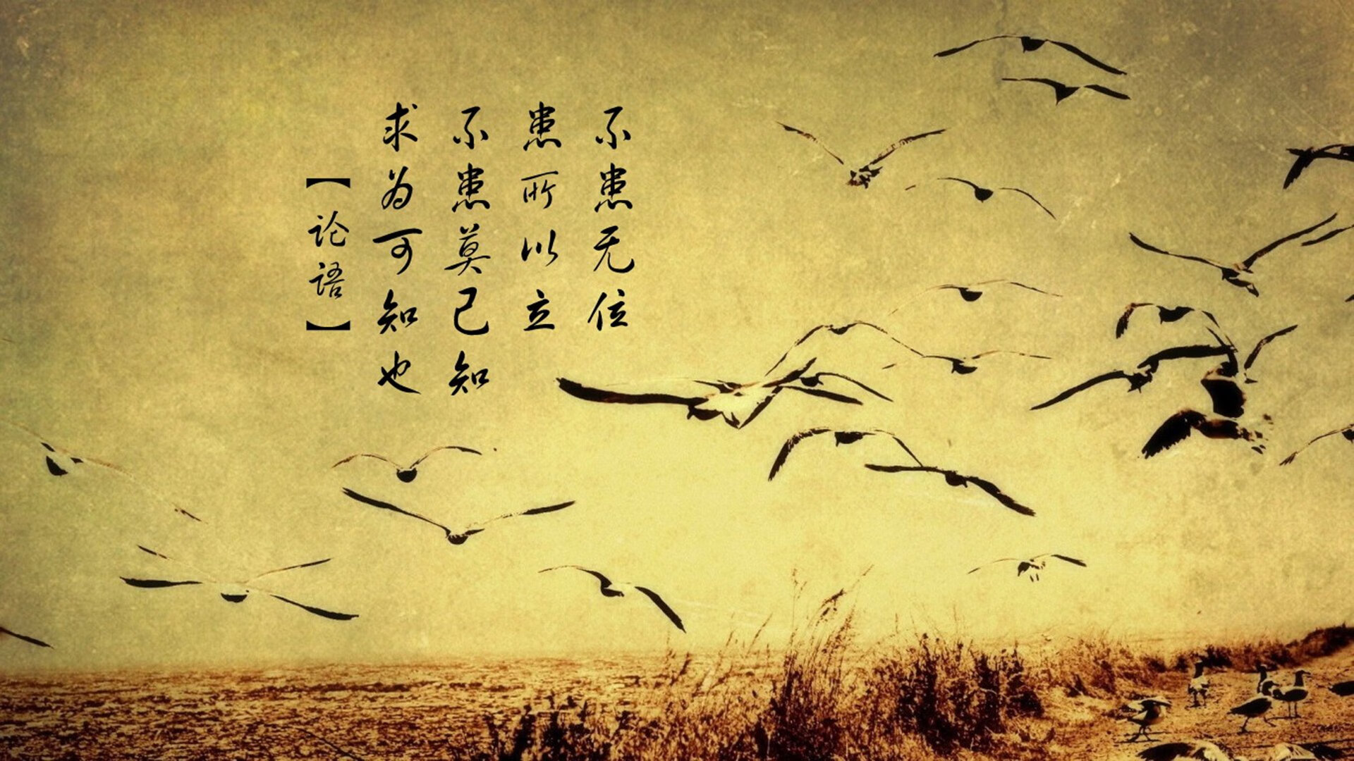 pg电子模拟器试玩在线-赛道上的轰鸣，球场上的传奇，硬仗之夜的共同心跳