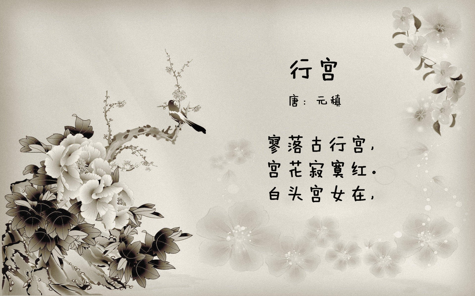 掘金掀翻公牛，战术压制的胜利与福克斯的接管时刻