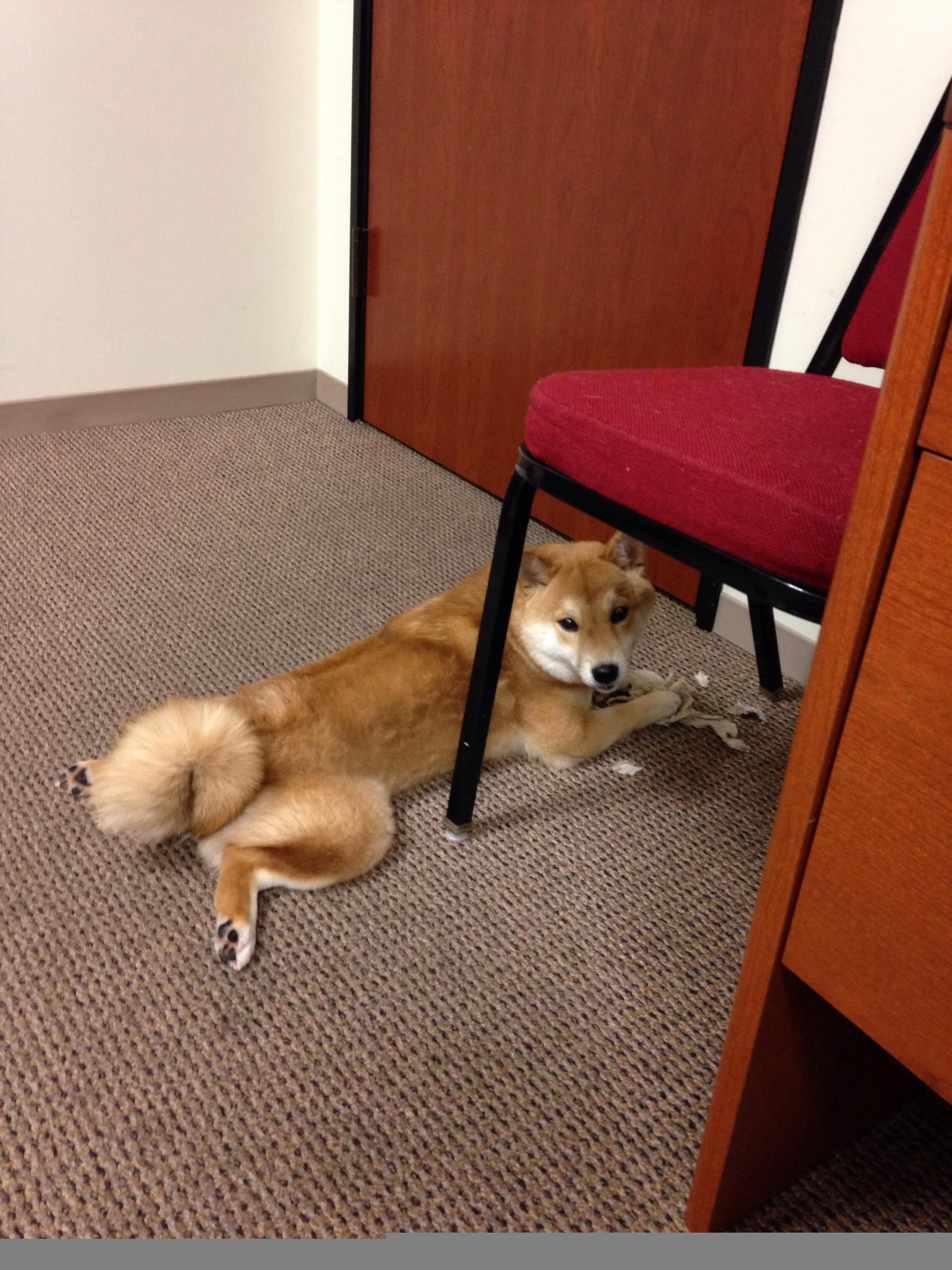 pg电子下载-迪马利亚封神夜，那不勒斯却忙着打包乌拉圭