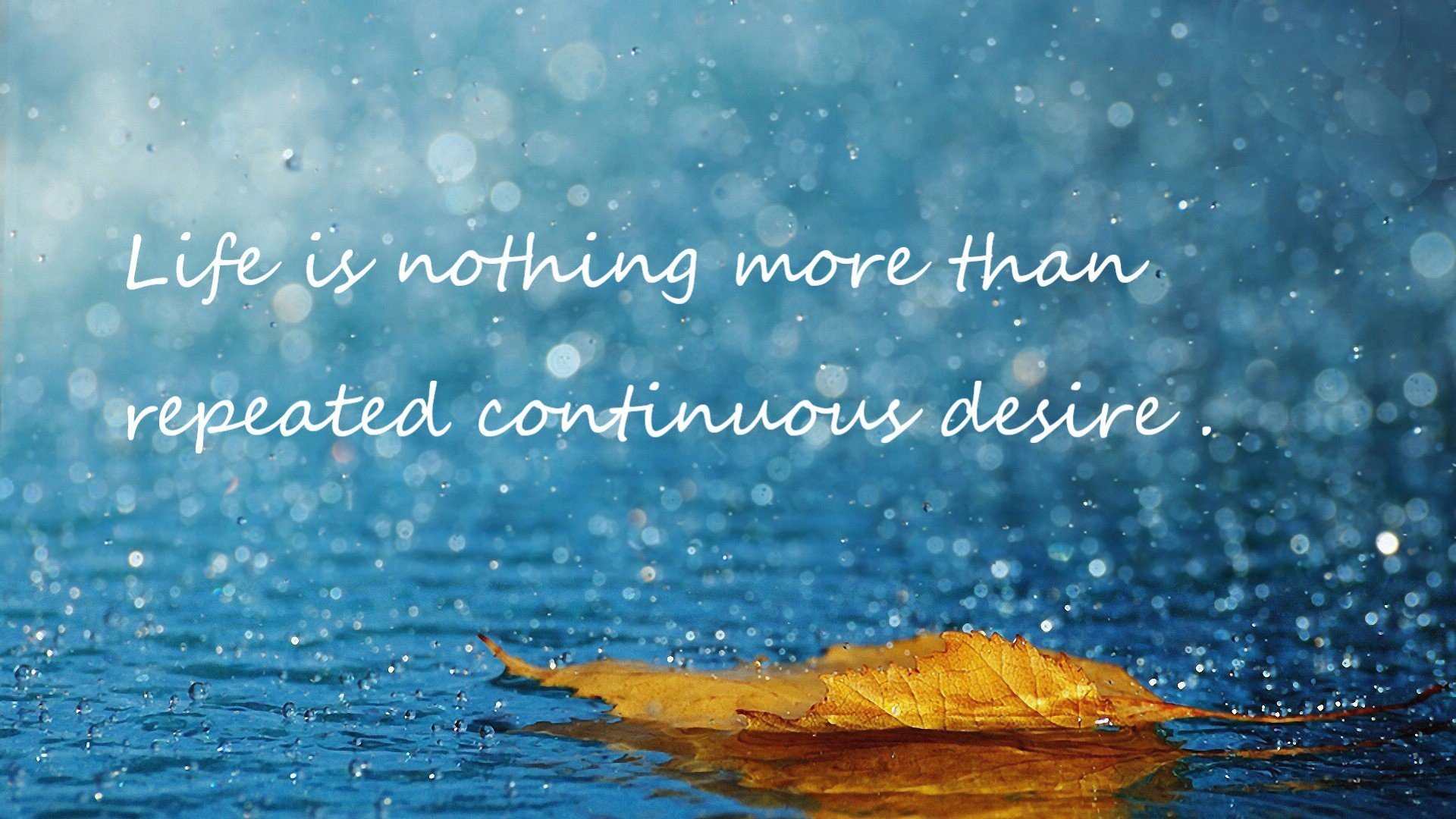 灵蛇出洞，卡马文加以一敌众，撕碎爱尔兰钢铁防线