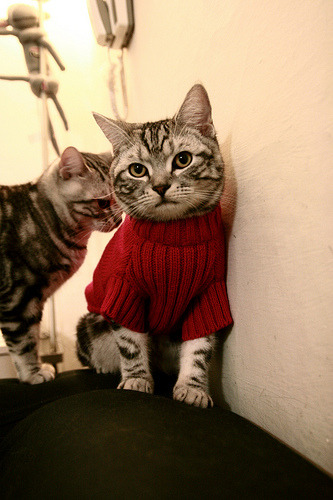 绝杀时刻与神迹闪现，足球中团队韧性与个人天赋的永恒赞歌