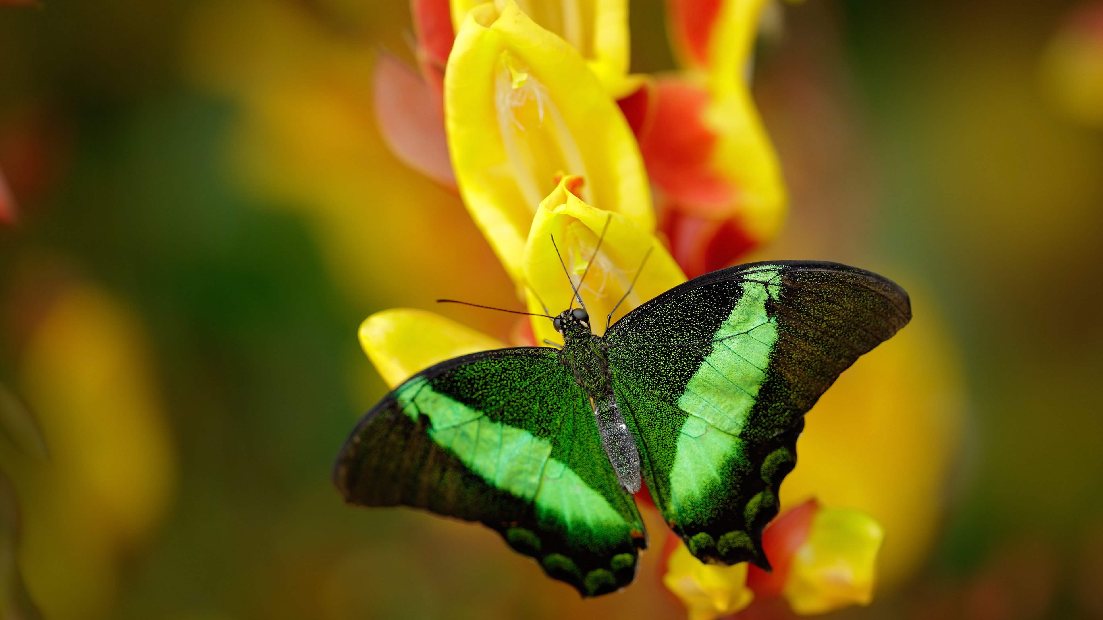孤胆英雄与他的沉默战争,姆巴佩扛起全队的欧冠淘汰赛之夜