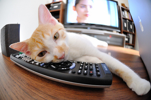 -玻利维亚横扫奥地利，阿什拉夫成为关键先生，闪耀全场