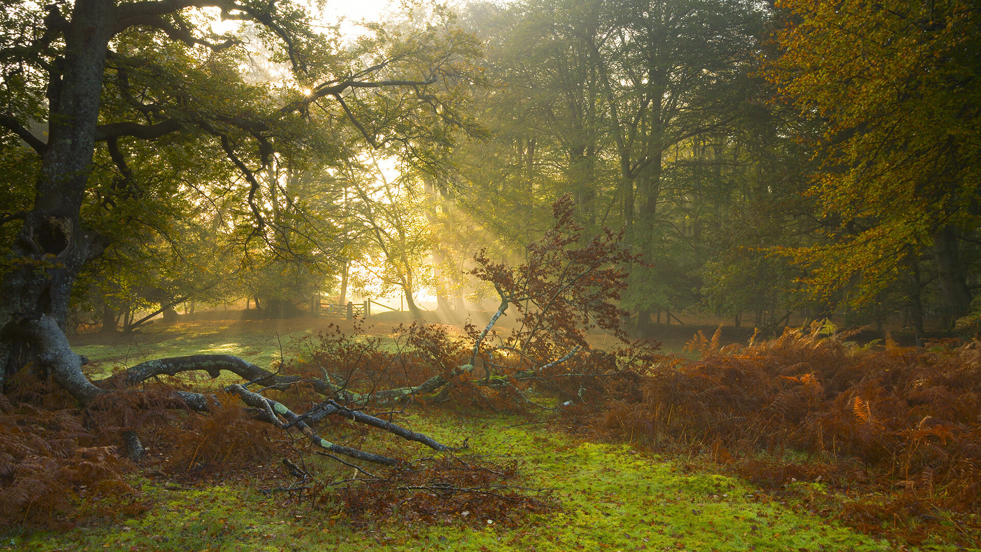 利拉德时钟，当山西队用中国节奏冲垮勇士方程式