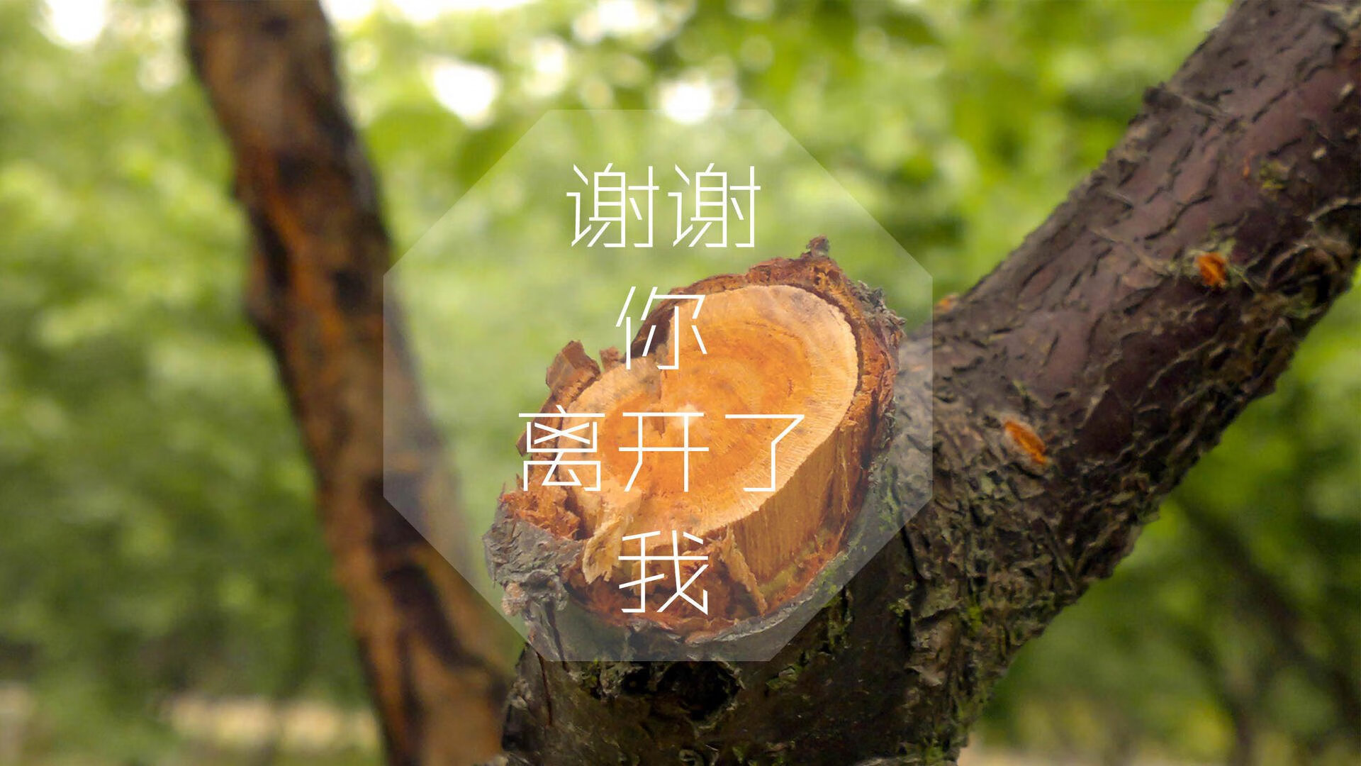 橙衣军团折戟，波兰铁骑踏破郁金香，努涅斯独造三球引爆2026世界杯H组焦点战