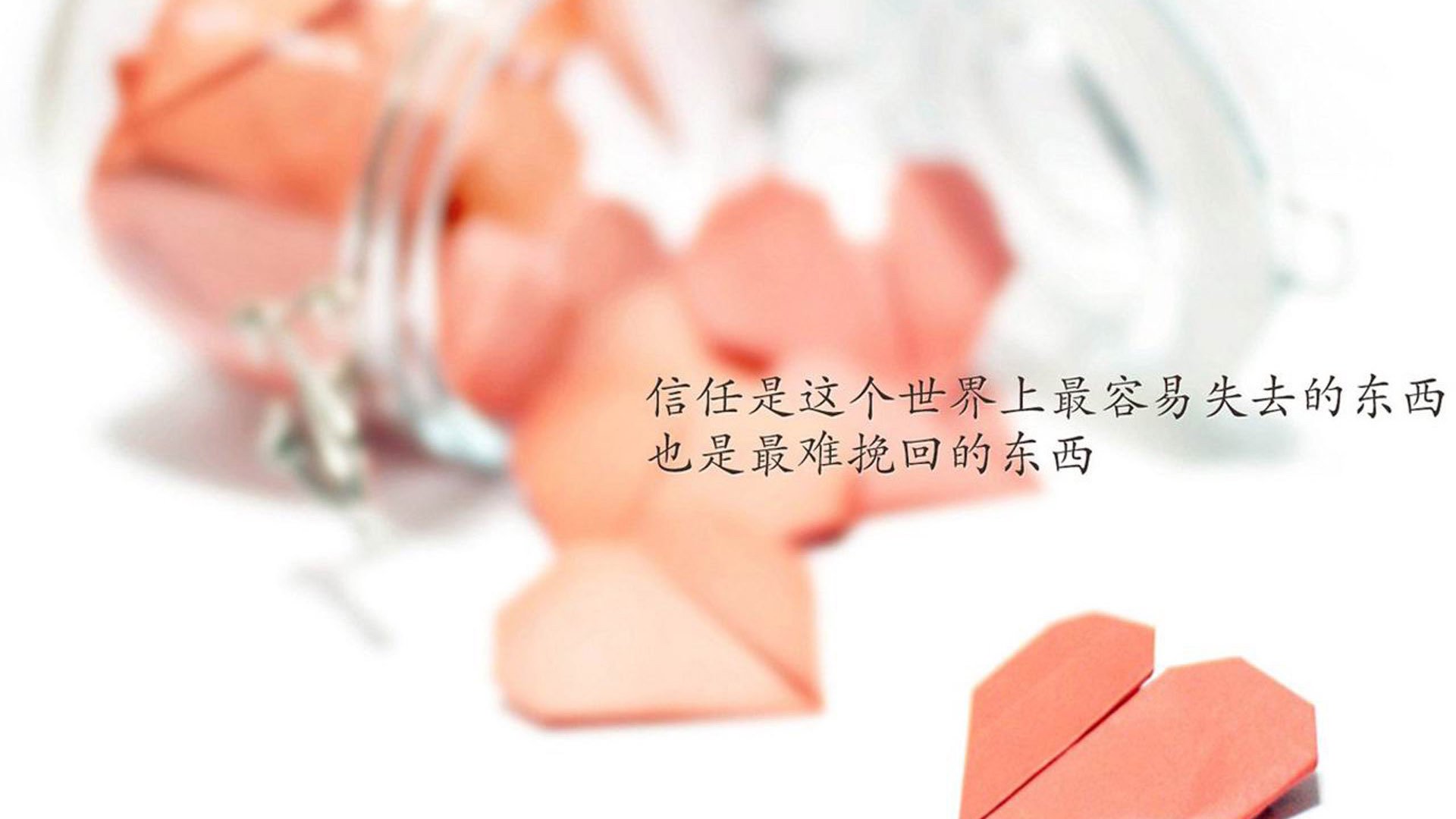 雄狮复仇记,2026世界杯尼日利亚狂扫喀麦隆,贝林厄姆上演王者归来
