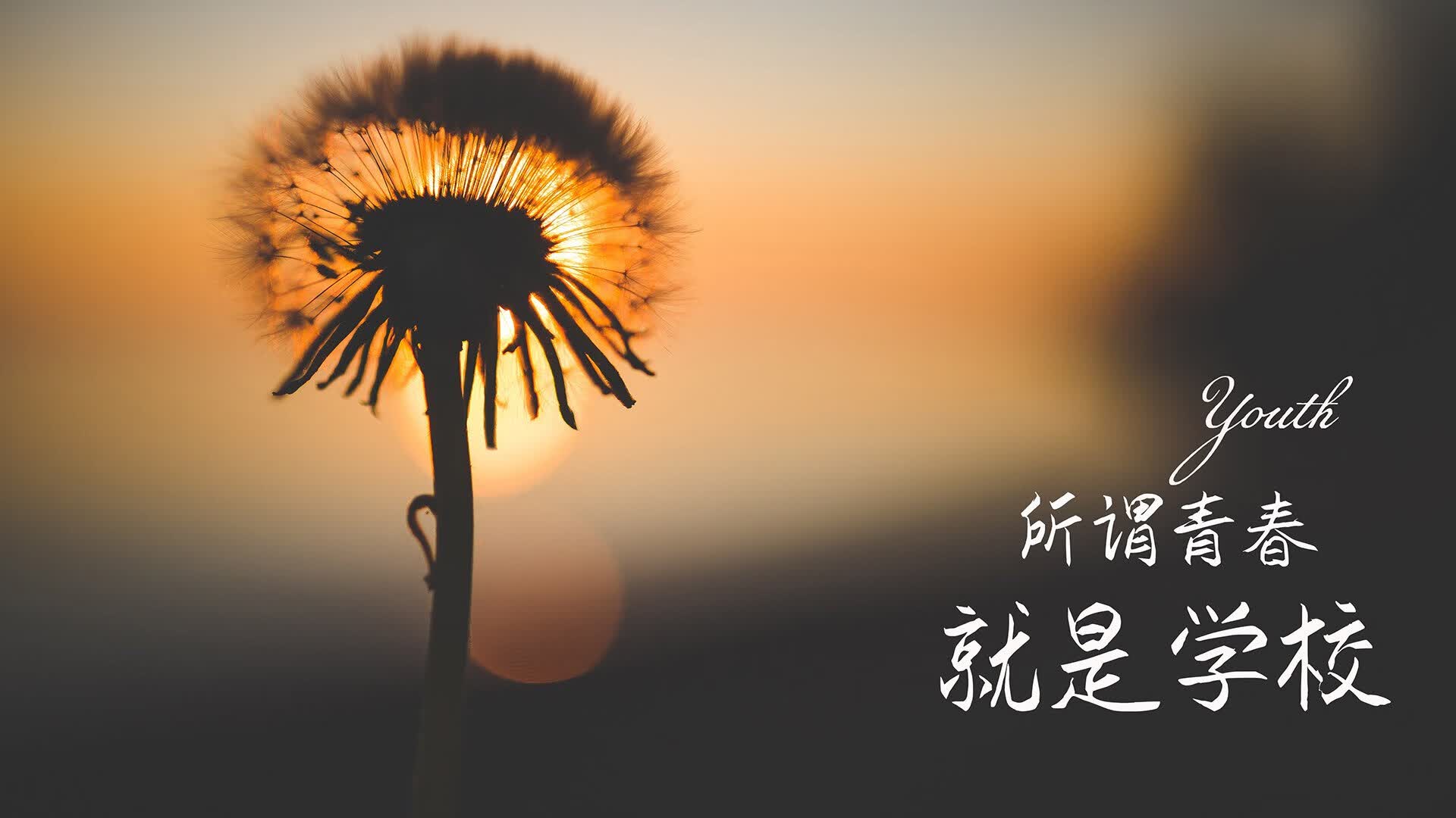 红魔觉醒,比利时逆转澳大利亚,吉鲁闪耀演绎经典强强对话